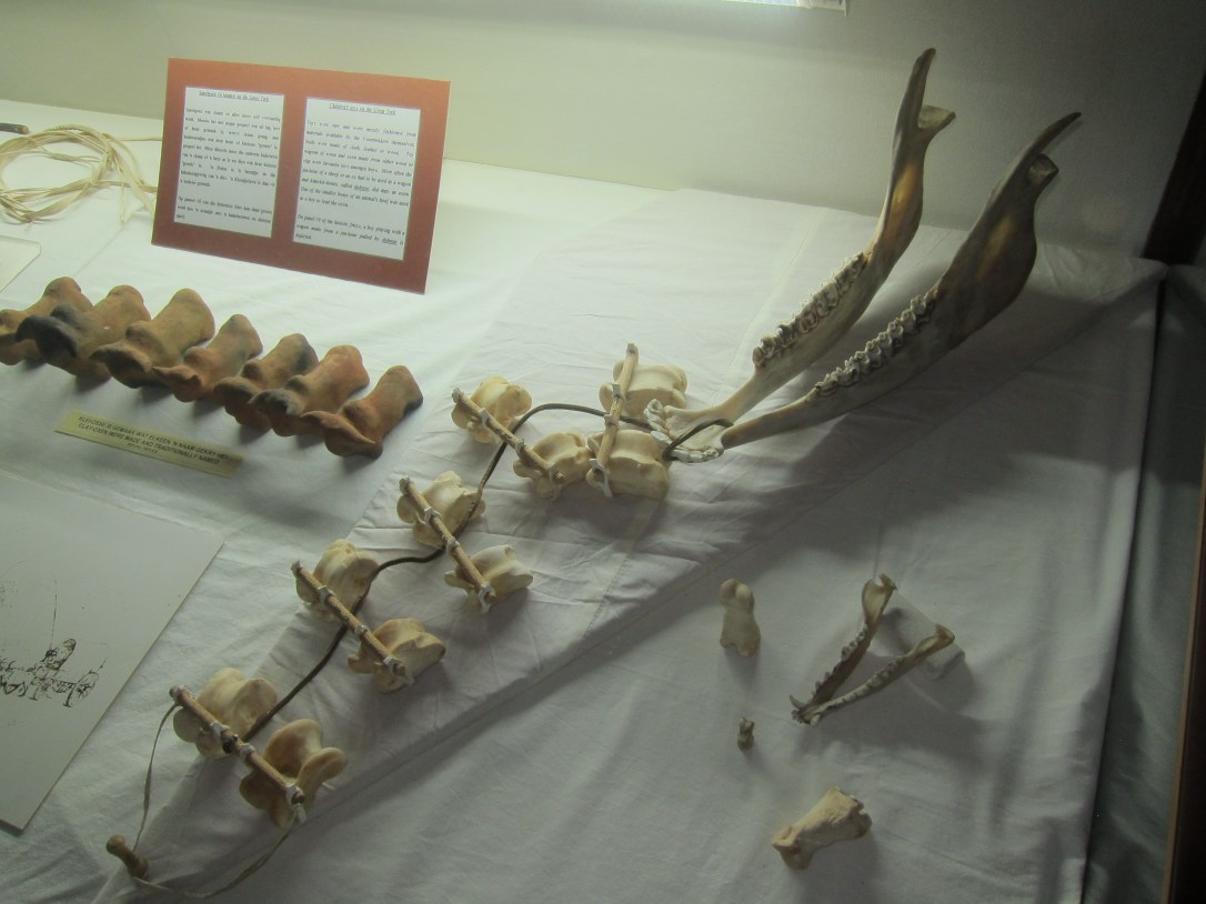 Childrens toys made from ox oxen bones at the voortrekker momument