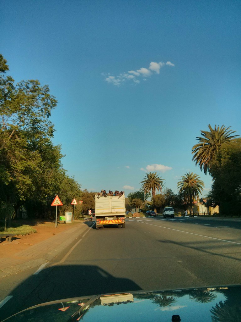 Game of Sardines anyone?