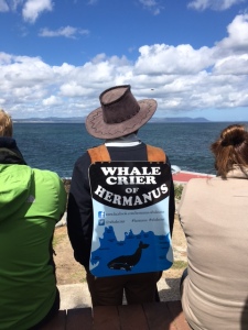 Hermanus Whale Crier staying on the cliffs