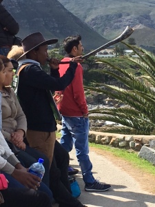 Hermanus whale cryer blowing horn to alert whale sighting and people coming to watch