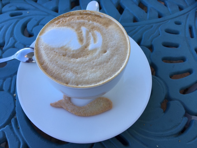 In Hermanus even the coffee is whale themed.