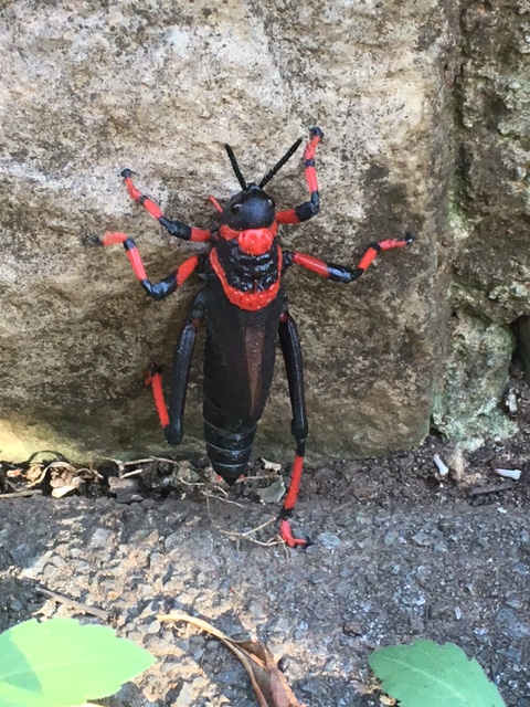 spooky Johannesburg a black and red foaming grasskoppie