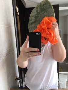 expat cactus, this cactus leaf is larger than a human head