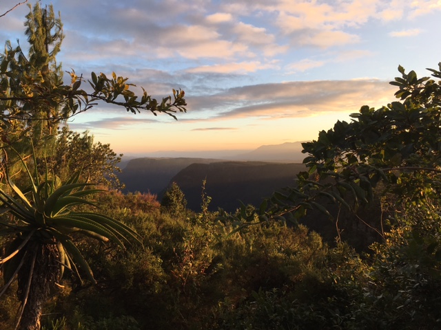 Panorama Route stunning view near God's window Mpumalanga South Africa