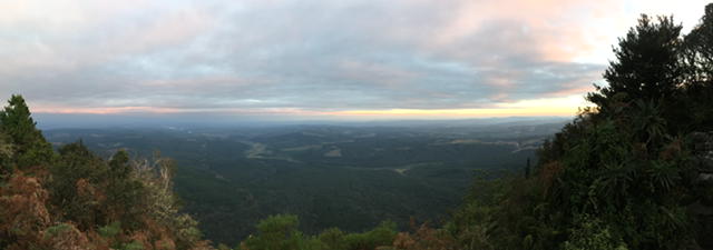 Panorama Route follow the sing for the Rainforest walk near God's window for this stunning view