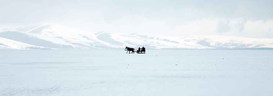 silhouette of a horse with sled on snow covered ground